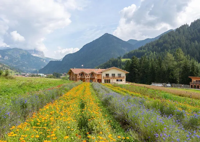 Eco-Green Fiores Agriturismo Vigo di Fassa